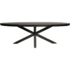 Ovale Tafel Maas Zwart Maat 210