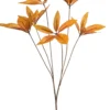 Pachira spray orange