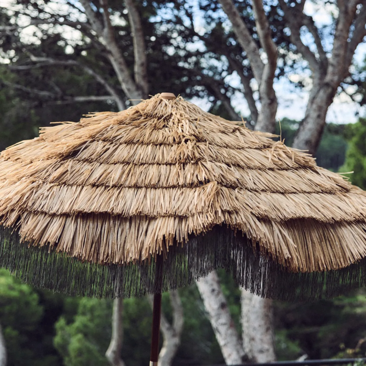 Parasol Serengeti