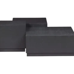 Pim bijzettafels hout zwart - set van 3