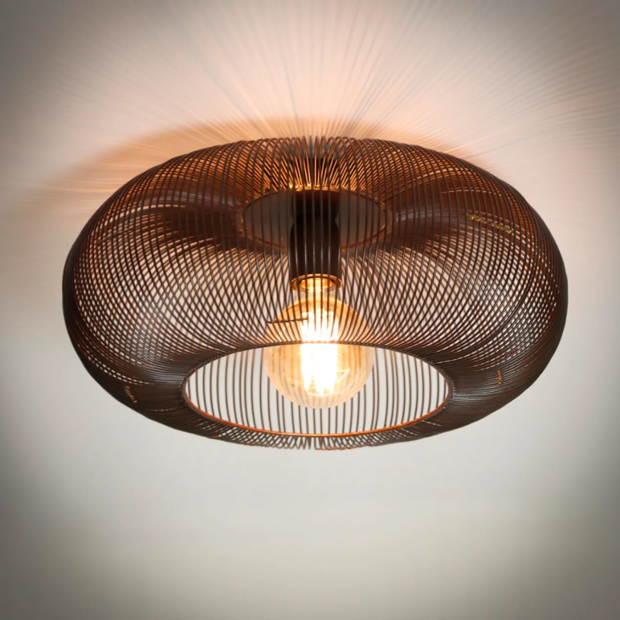 Plafondlamp Chichester