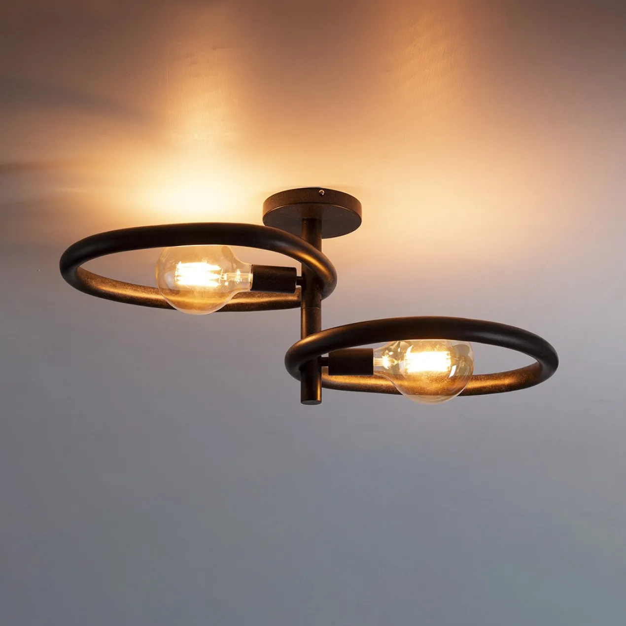 Plafondlamp Organisch