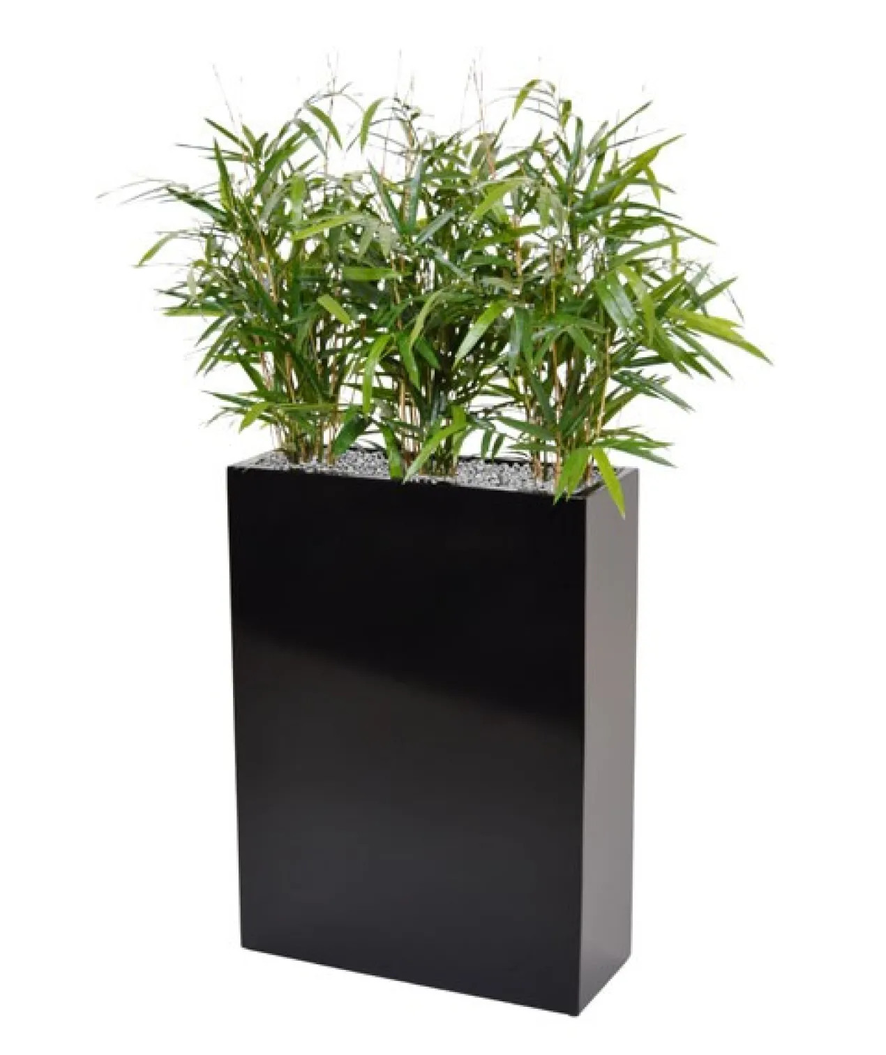 Plantenbak South Dakota shiny black L56 x B23 x H76 cm