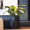 Plantenpot Billund S black Ø40 x H50 cm