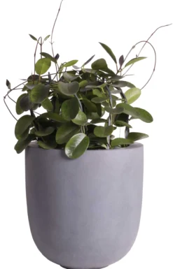 Plantenpot Ducos big grey Ø33 x H35 cm