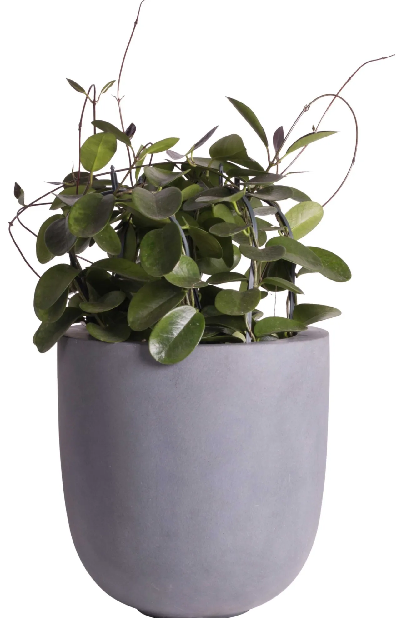 Plantenpot Ducos big grey Ø33 x H35 cm
