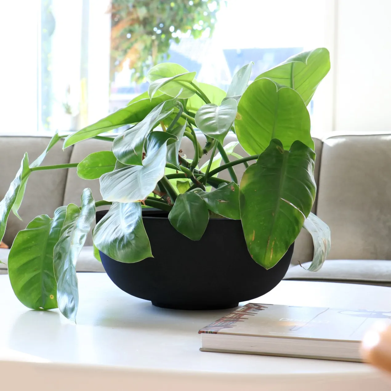 Plantenpot Ducos S Ø33 cm black - set van 2