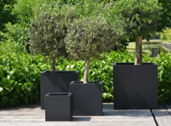 Plantenpot El Salvador black L40 x B40 x H40cm