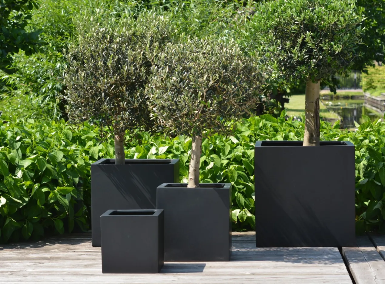 Plantenpot El Salvador black L40 x B40 x H40cm