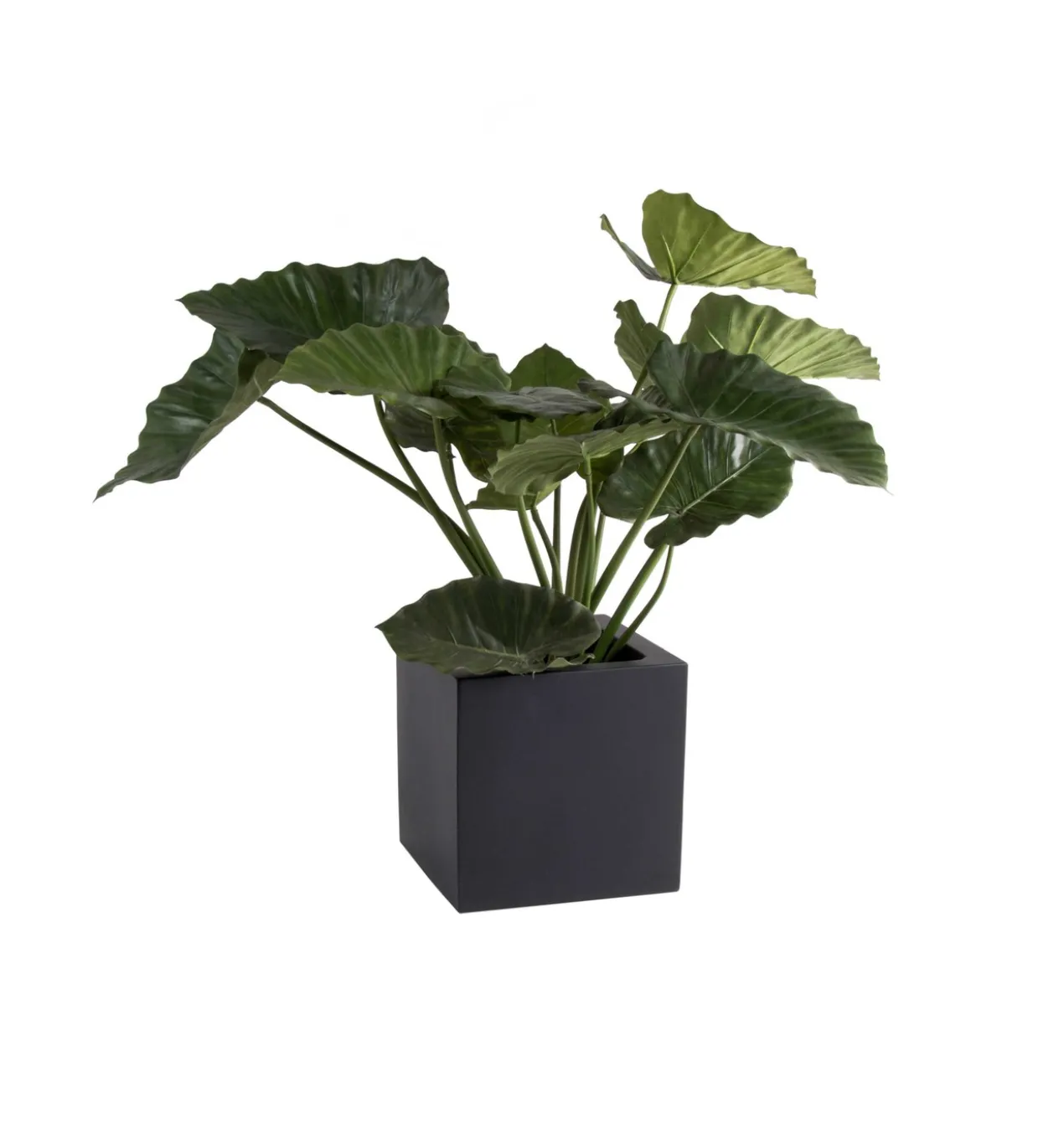 Plantenpot El Salvador black L40 x B40 x H40cm