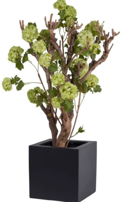 Plantenpot El Salvador black L40 x B40 x H40cm