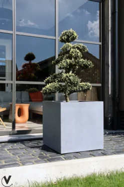 Plantenpot El Salvador grey L50 x B50 x H50 cm