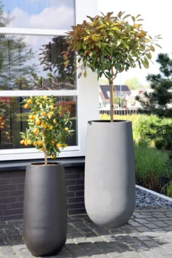 Plantenpot Idaho grey Ø50 x H101cm