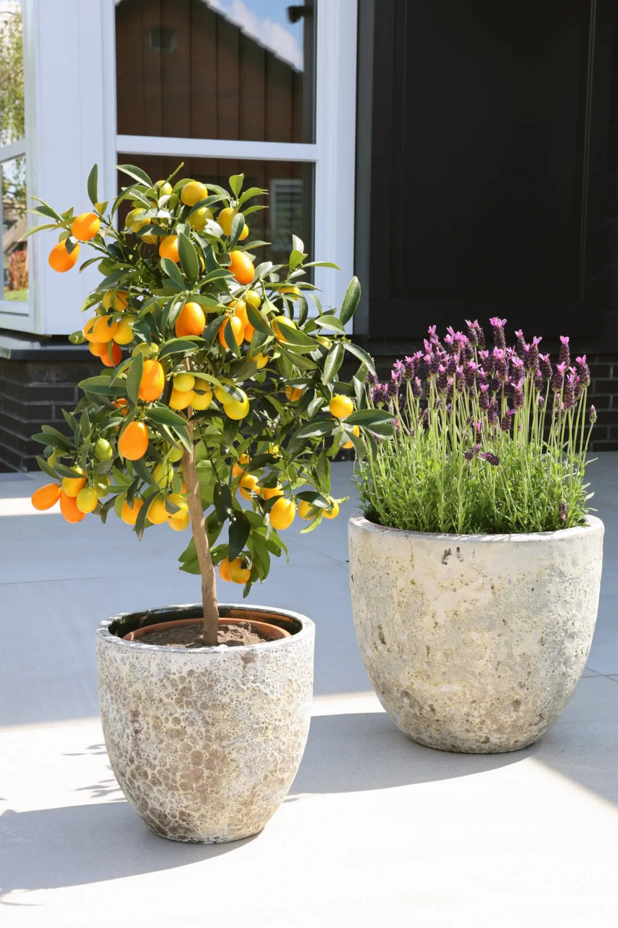 Plantenpot Laki relic beige Ø36/35 x H34/25 cm - set 2 stuks