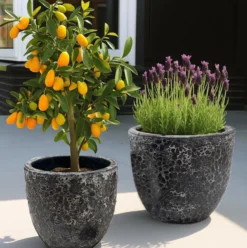 Plantenpot Laki relic black Ø36/35xH34/25 cm - set 2 stuks