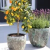 Plantenpot Laki relic jade Ø36/25 x H34/25 cm - set 2 stuks