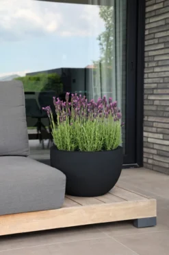 Plantenpot Louisiana black Ø45 x H28 cm