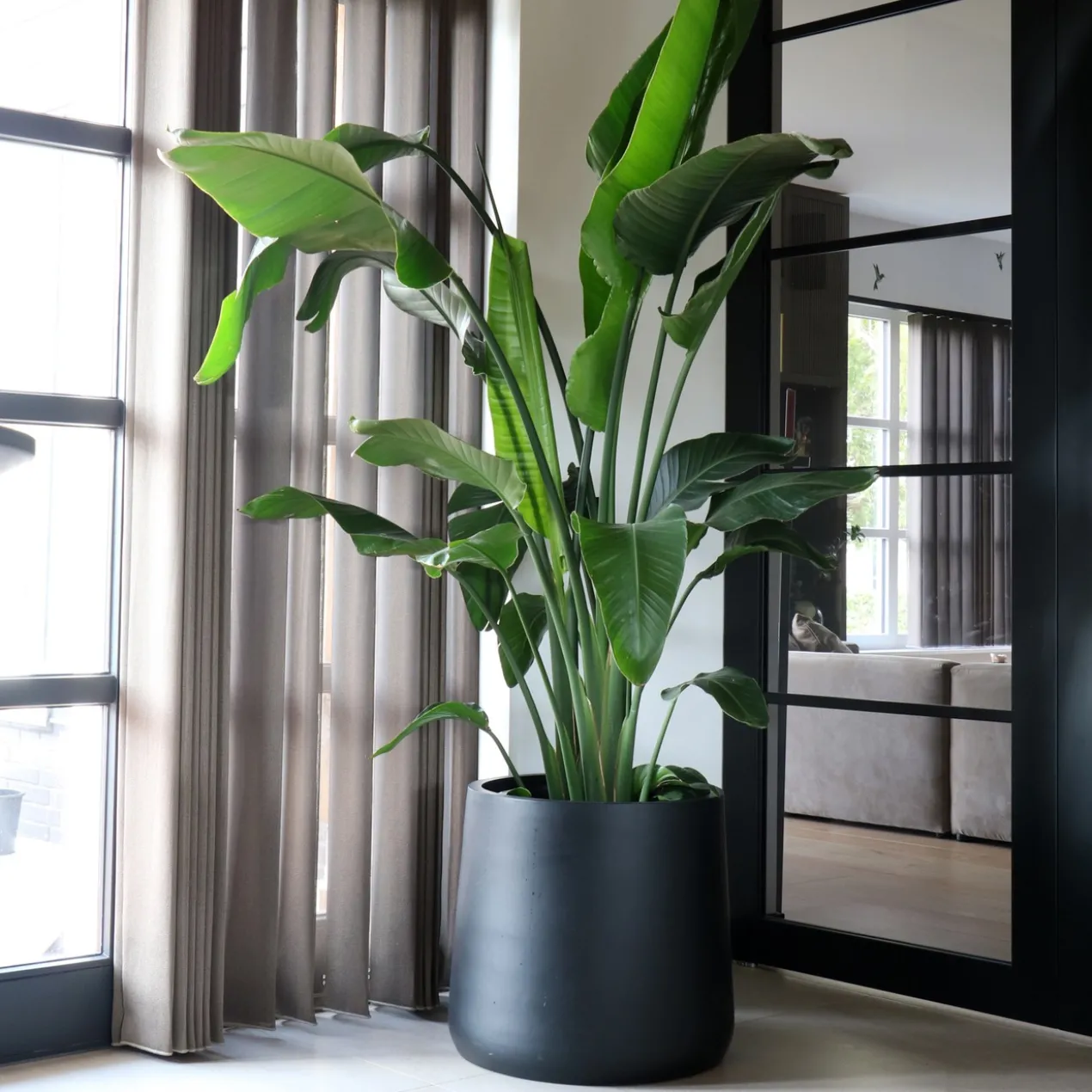Plantenpot Portland black Ø55 x H50cm