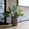 Plantenpot Roskilde L taupe Ø54 x H60cm