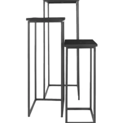 Plantentafels Sam Vierkant - Set van 3 - Zwart Mangohout