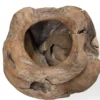 Planter unieke groot