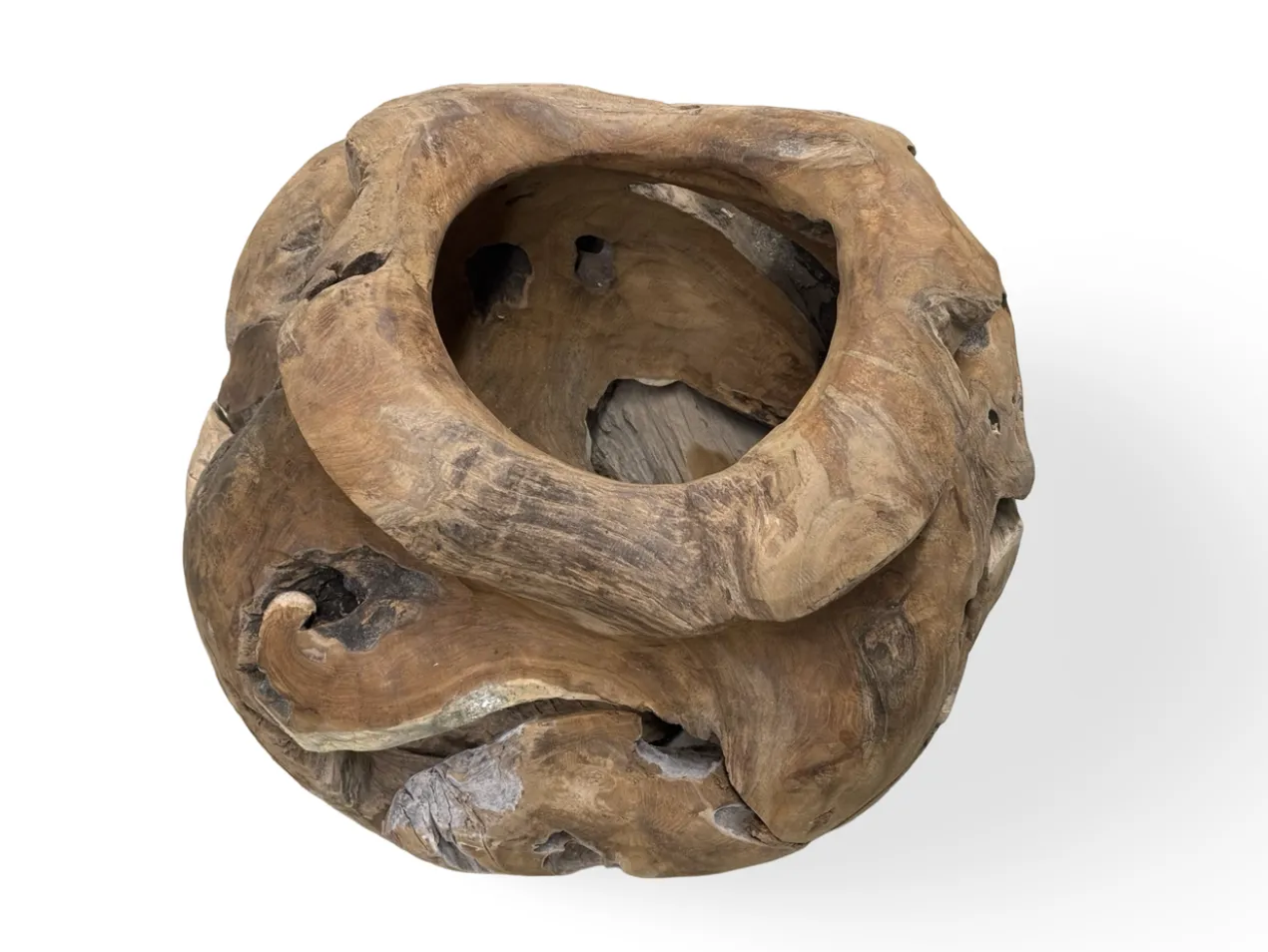Planter unieke groot