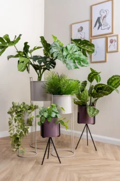 Plant pot set Essence straight iron black