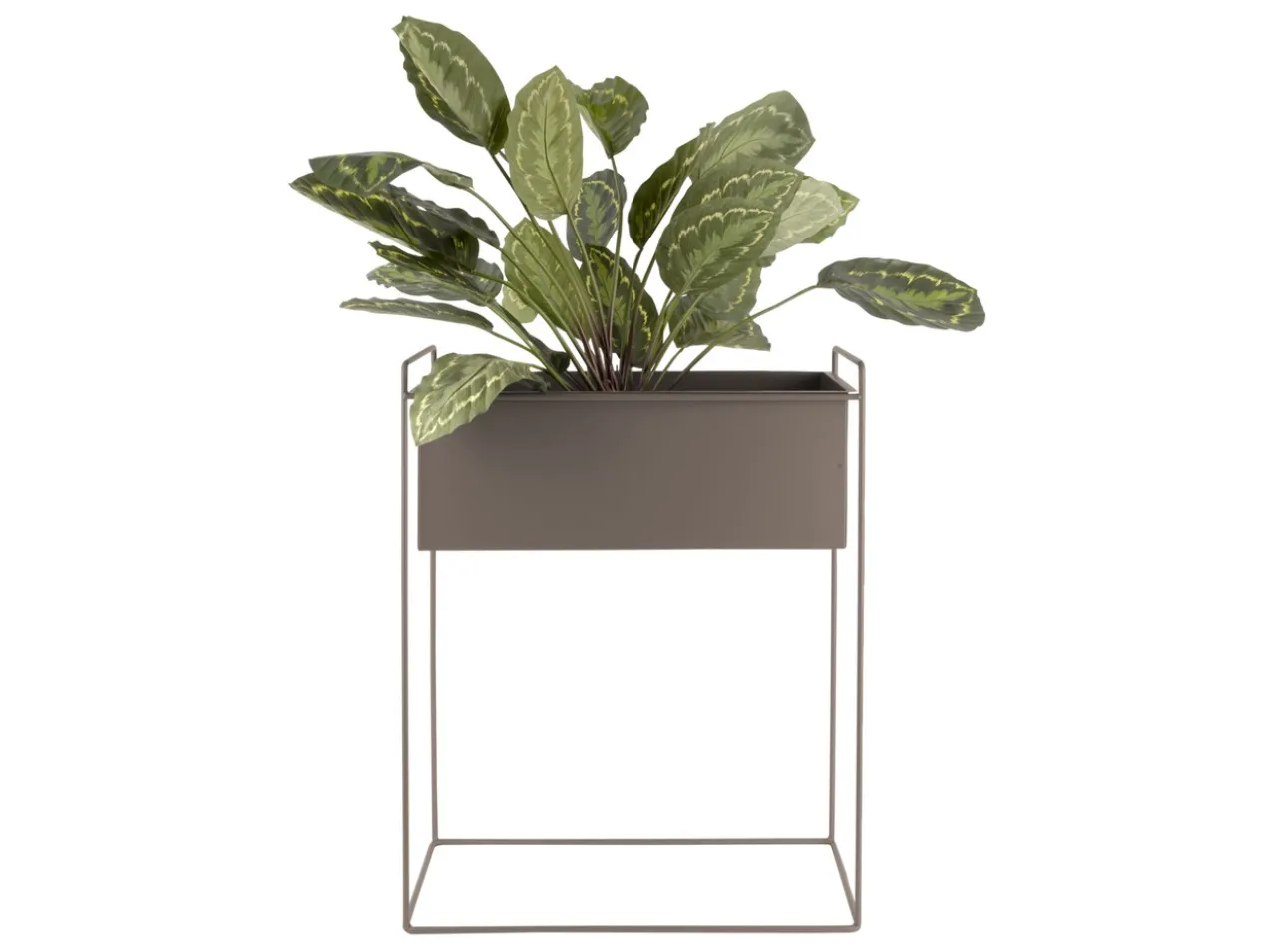 Plant pot set Essence straight iron moss green