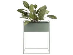 Plant pot set Essence straight iron jungle green