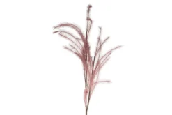 Plume foam red