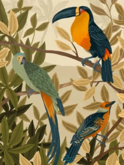 Poster Birds of paradise 40 x 50 cm