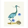 Poster Blauwgroene Reiger 40 x 50 cm