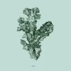 Poster Coral 40 x 50 cm