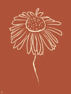 Poster Daisy 30 x 40 cm