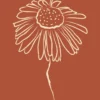 Poster Daisy 40 x 50 cm