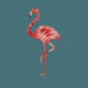 Poster Flamingo 30 x 40 cm