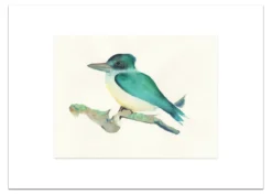 Poster Groene IJsvogel 30 x 40 cm