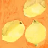 Poster Lemons 30 x 40 cm