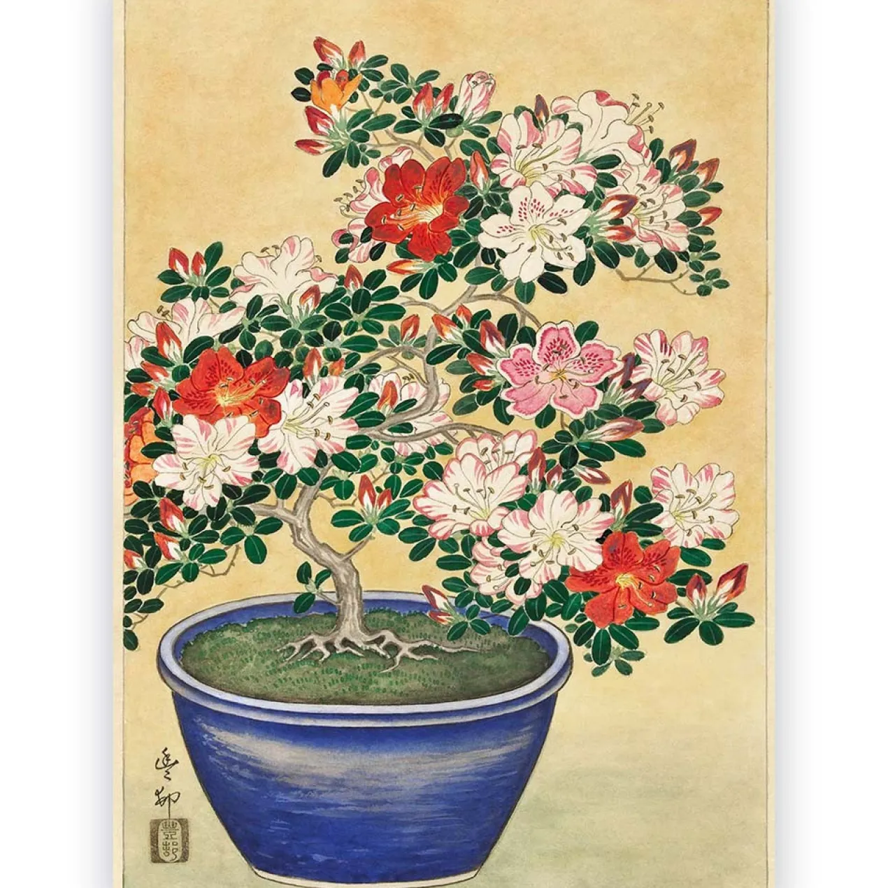 Poster Ohara Koson - Blooming Azalea in Blue Pot 50x70 cm