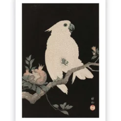 Poster Ohara Koson - Cockatoo Pomegranate 40x60 cm