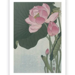 Poster Ohara Koson - Lotus Flower 40x60 cm