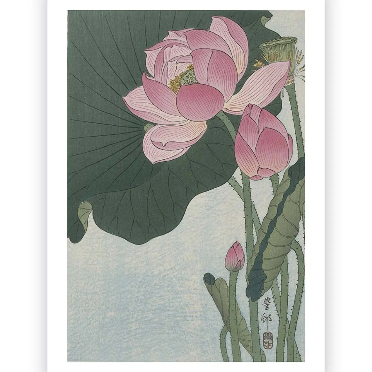 Poster Ohara Koson - Lotus Flower 50x70 cm