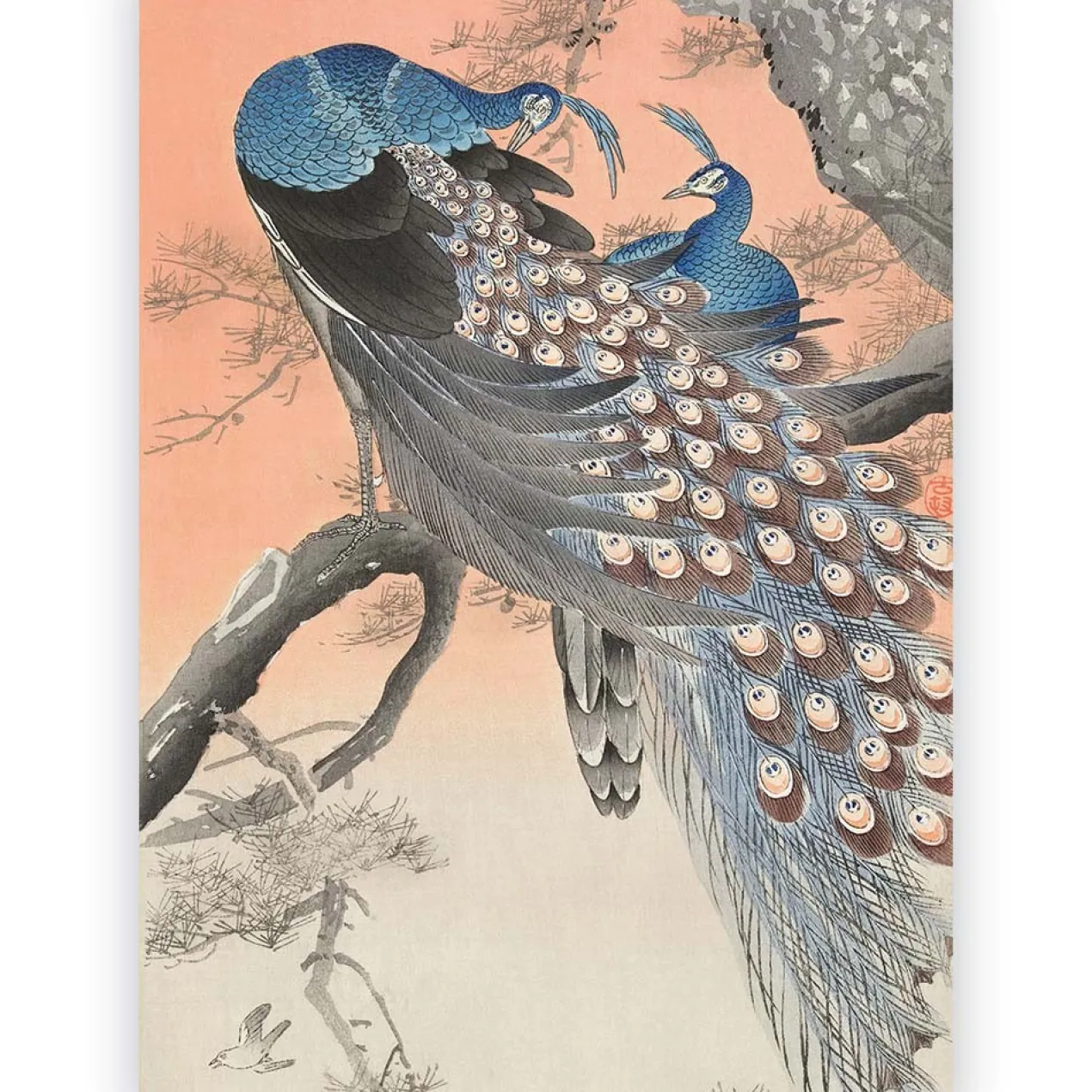 Poster Ohara Koson - Two Peacocks on a Branch 60x90 cm