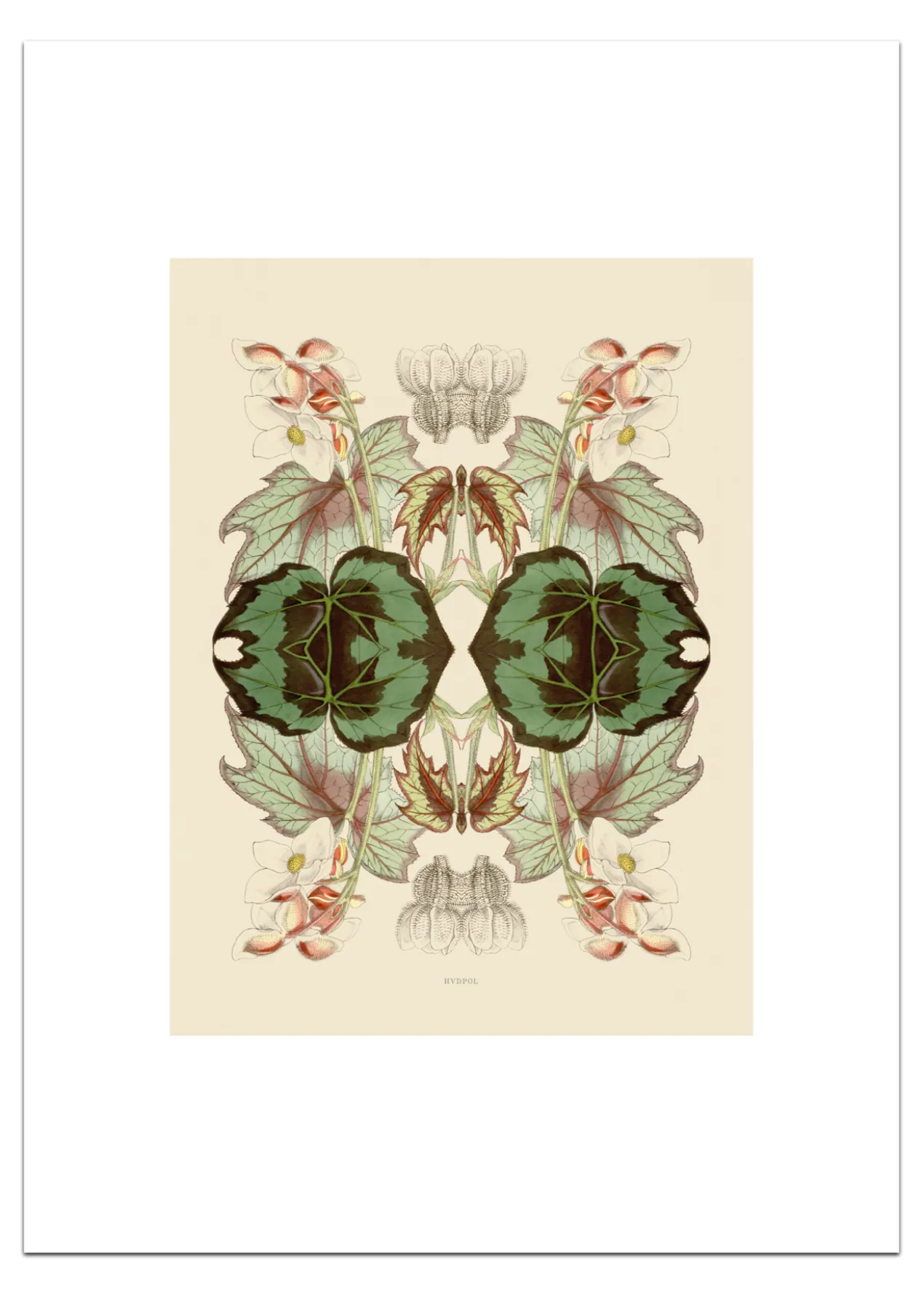 Poster Pink Blossom 30 x 40 cm