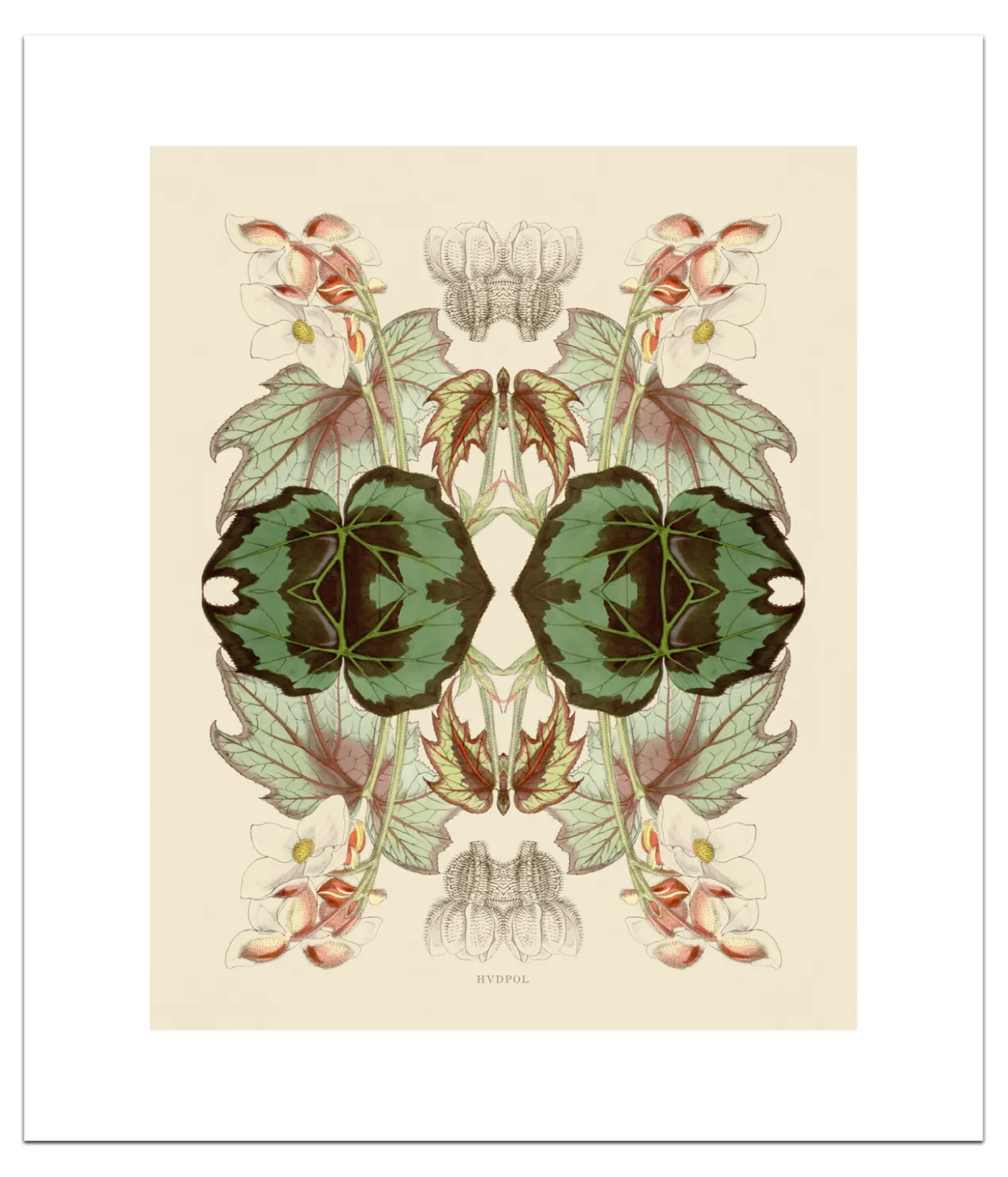 Poster Pink Blossom 40 x 50 cm