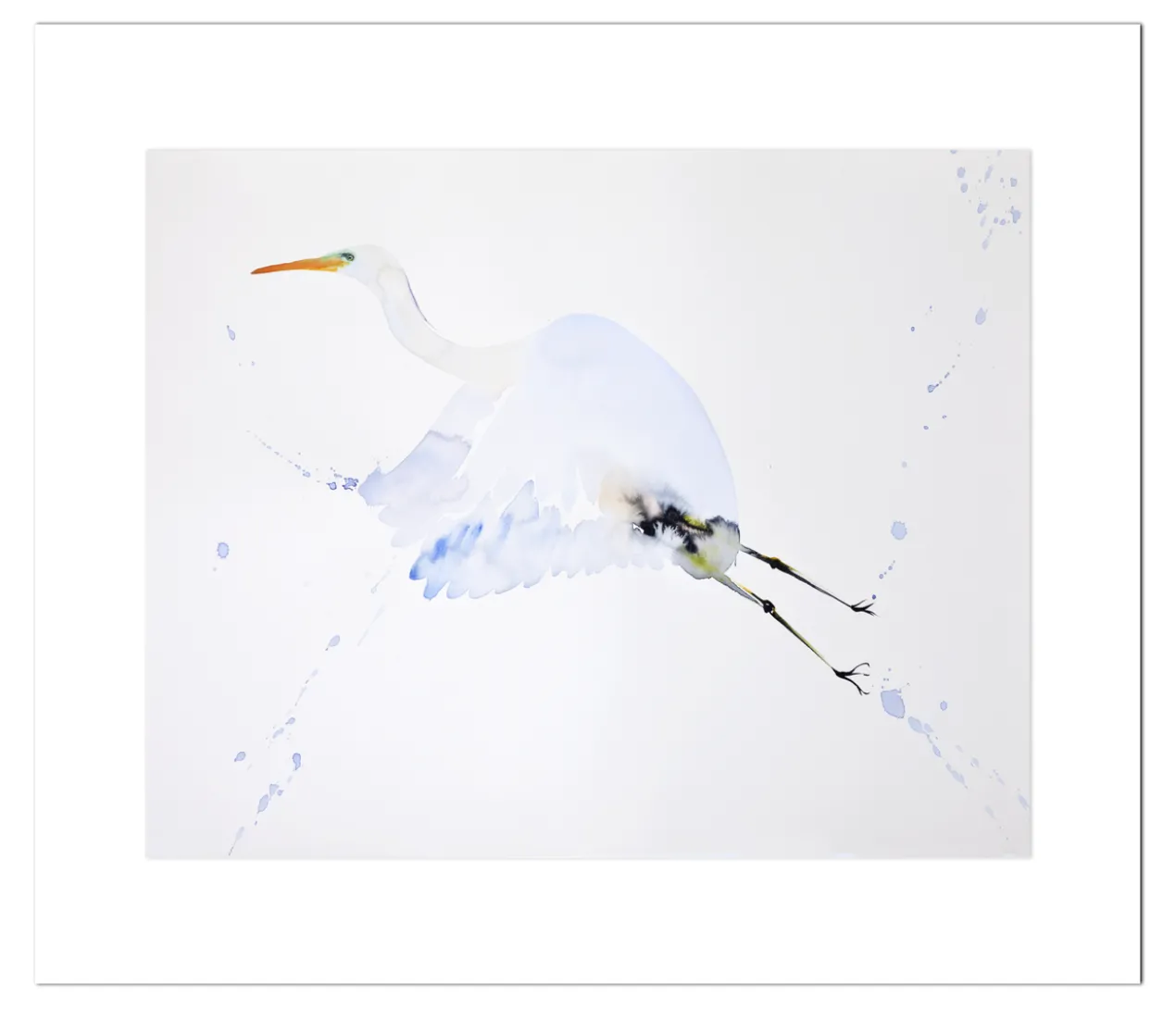 Poster Reiger in Vlucht 40 x 50 cm