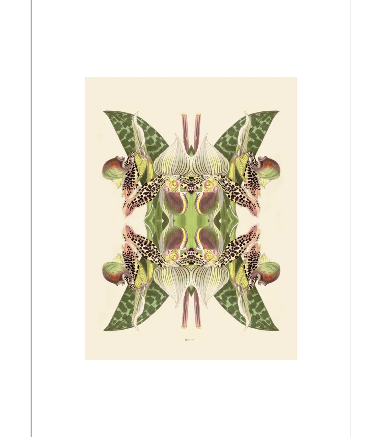 Poster Tiger Lily Magic 30 x 40 cm