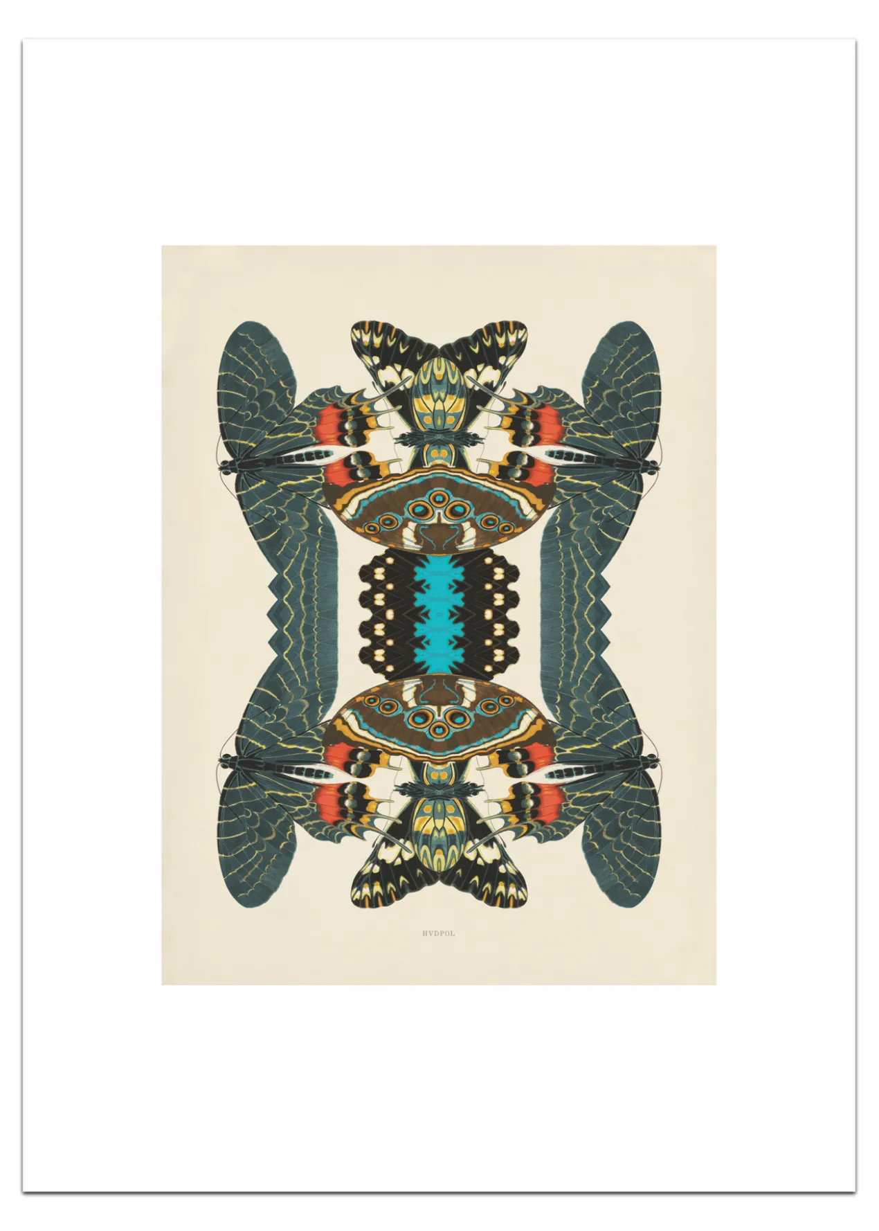 Poster Unfolding Butterfly 30 x 40 cm