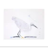 Poster Witte Reiger 30 x 40 cm