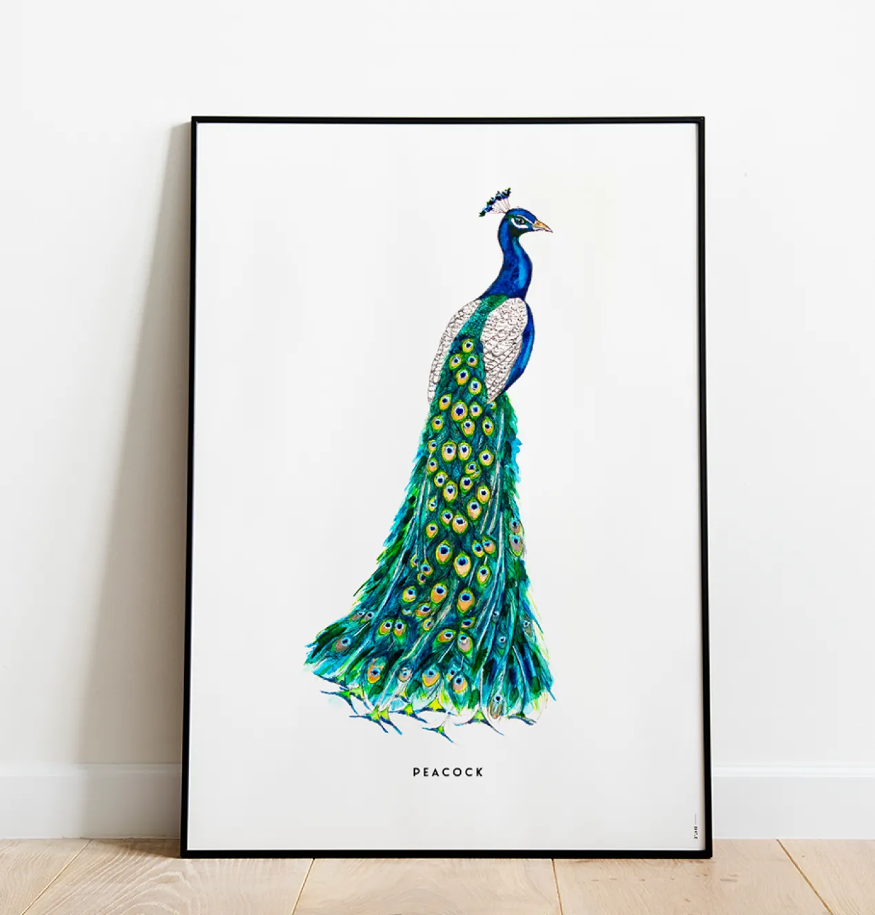 Poster 50x70 Pauw